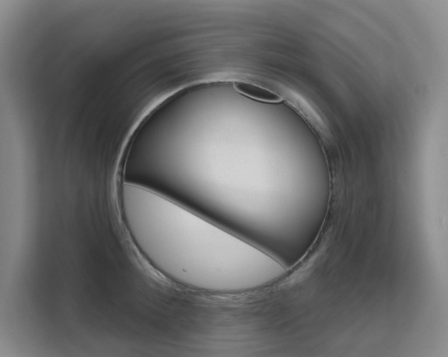 X0000111510900200907141101