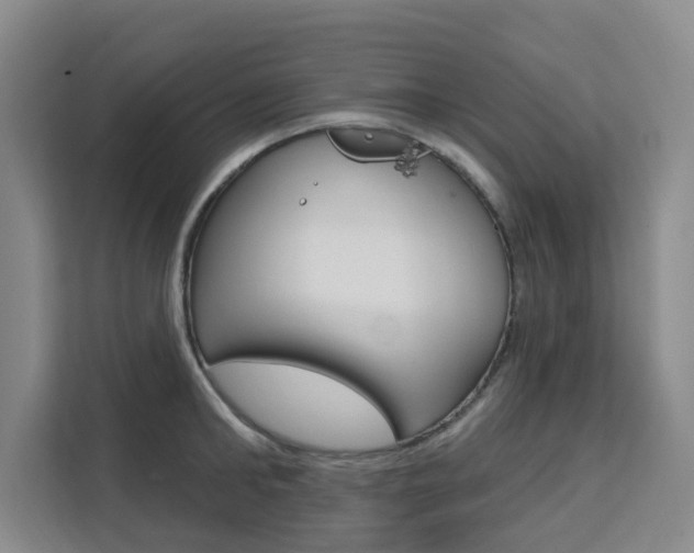 X0000111510902200907141101