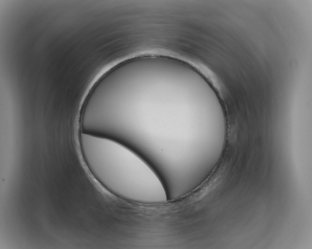 X0000111510903200907141101