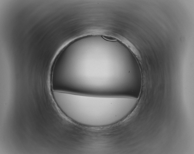 X0000111510904200907141101