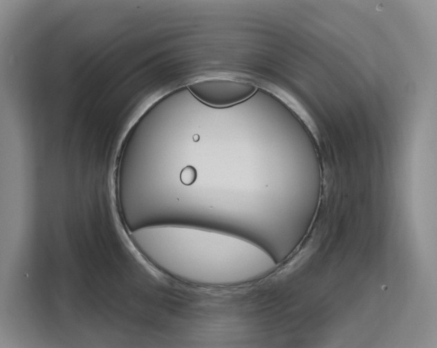 X0000111510906200907141101