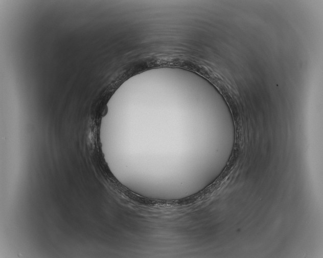 X0000111510914200907141101