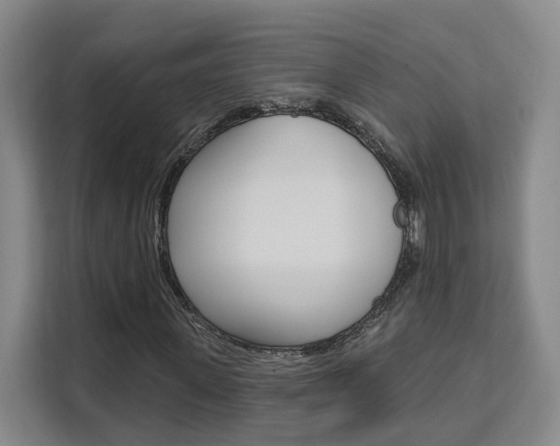 X0000111510915200907141101
