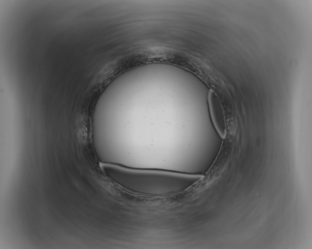 X0000111510916200907141101
