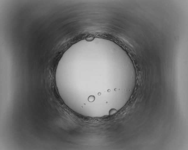 X0000111510917200907141101
