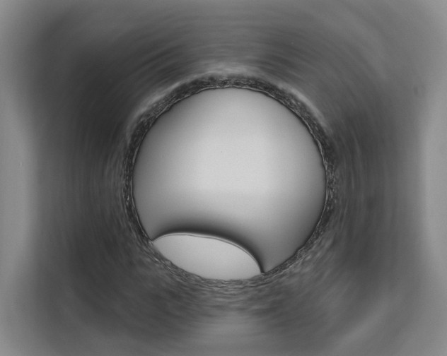 X0000111510919200907141101