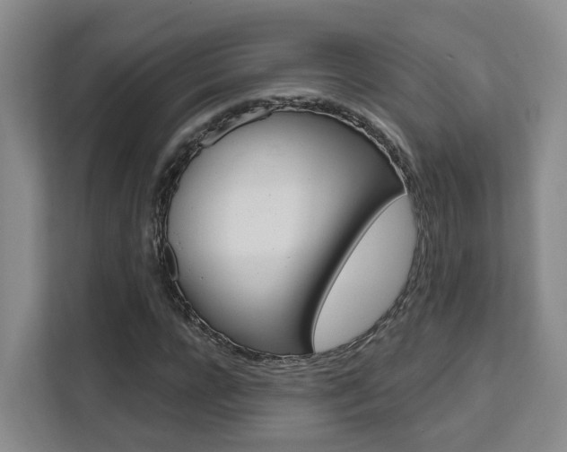 X0000111510920200907141101