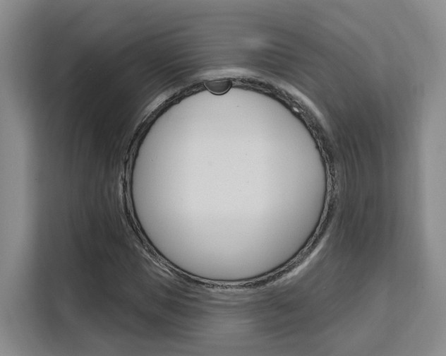 X0000111510921200907141101