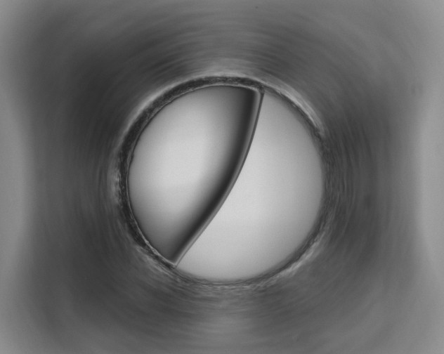 X0000111510926200907141101