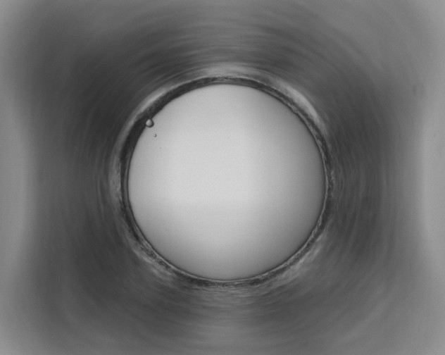 X0000111510931200907141101
