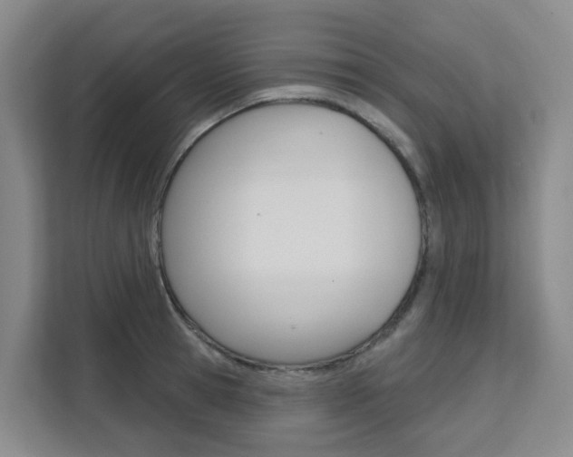 X0000111510945200907141101