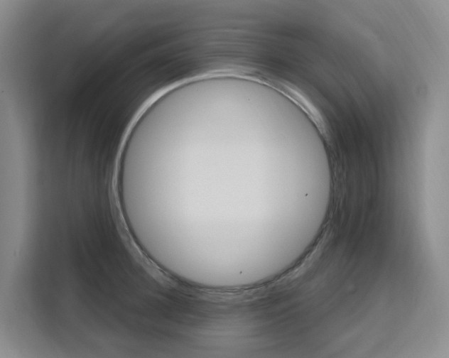 X0000111510948200907141101