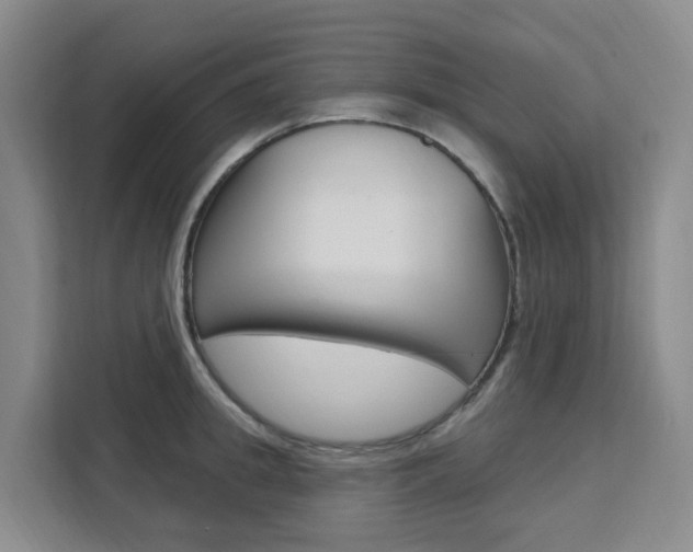 X0000111510949200907141101