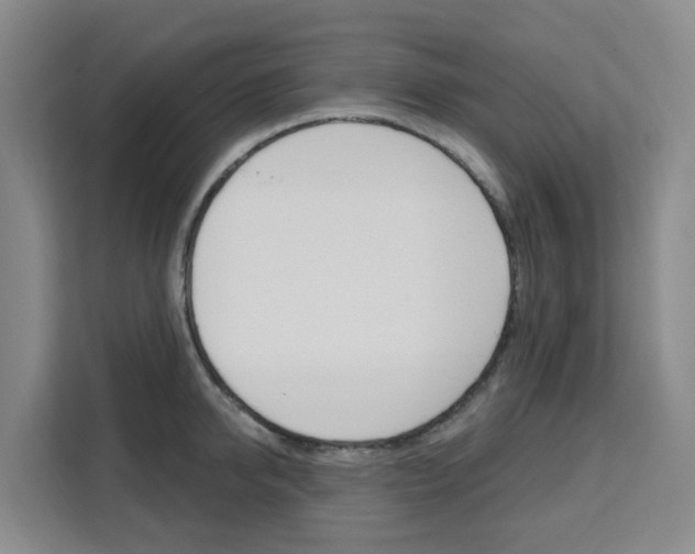 X0000111510950200907141101