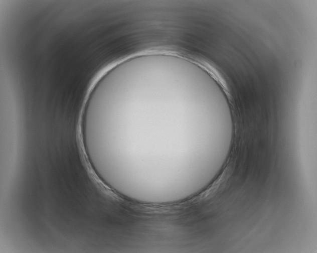 X0000111510952200907141101