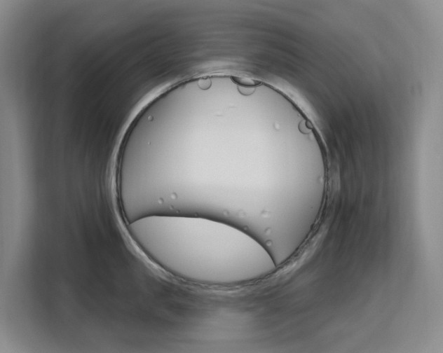X0000111510957200907141101