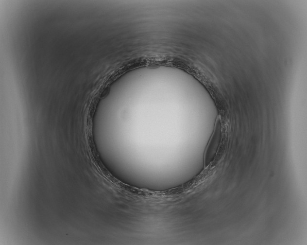 X0000111510961200907141101