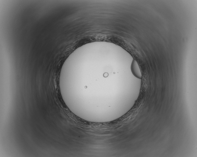 X0000111510962200907141101