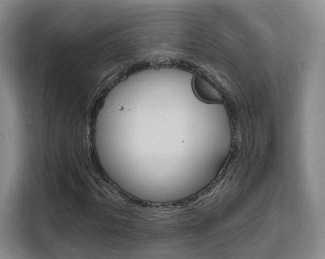 X0000111510964200907141101