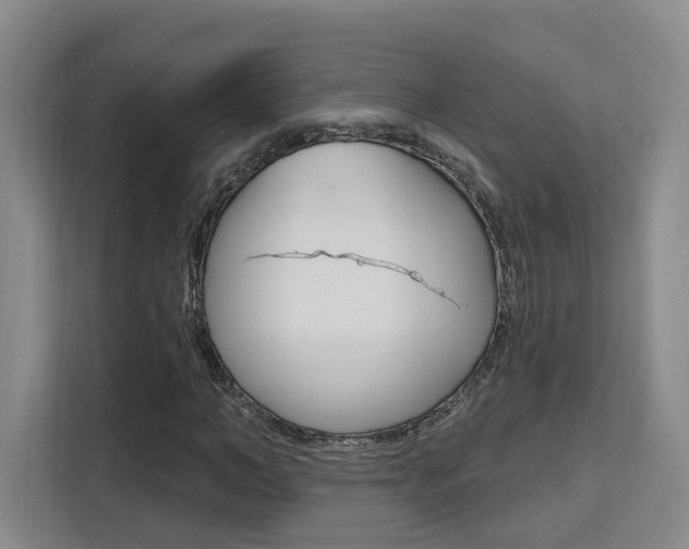 X0000111510966200907141100