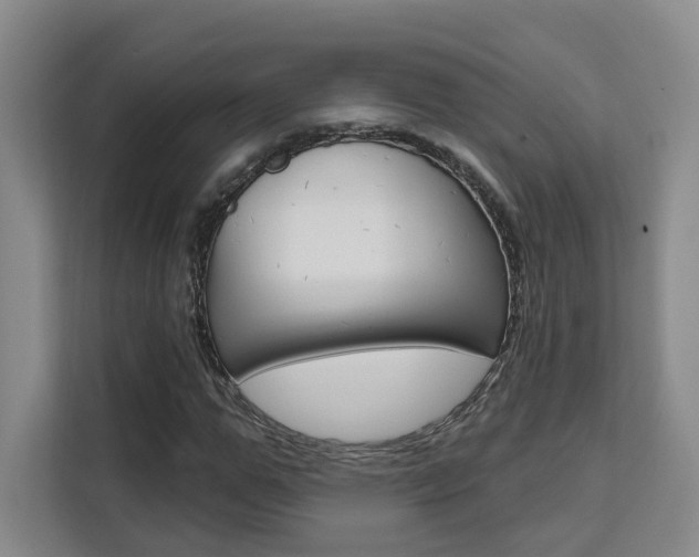 X0000111510967200907141100