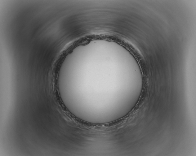 X0000111510968200907141100
