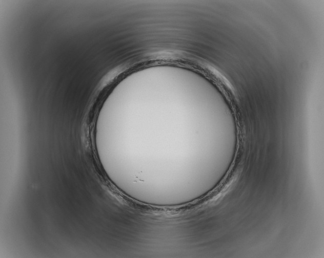 X0000111510970200907141100