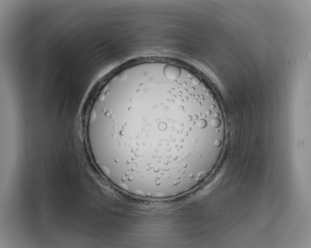 X0000111510974200907141100