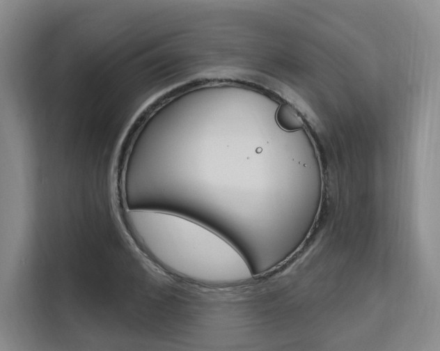 X0000111510976200907141100