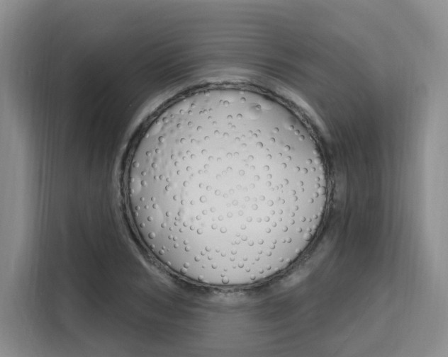 X0000111510978200907141100