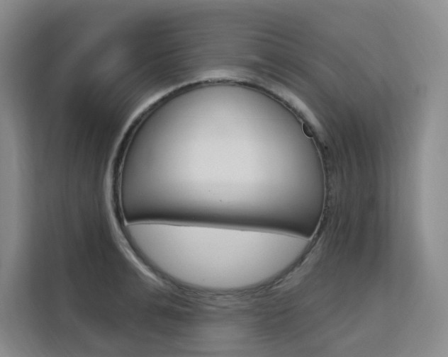 X0000111510991200907141100