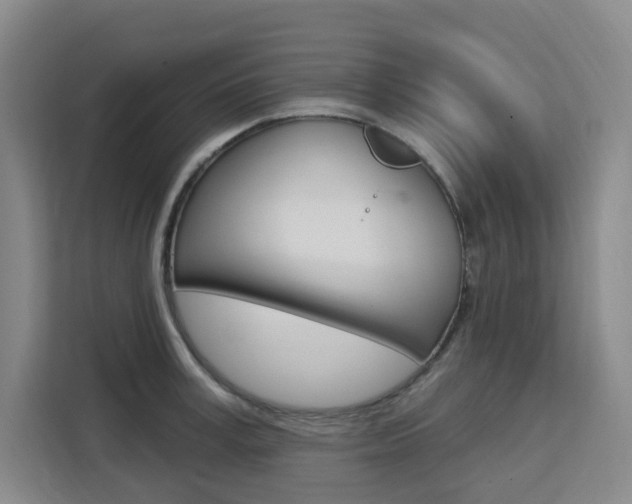 X0000111510995200907141100