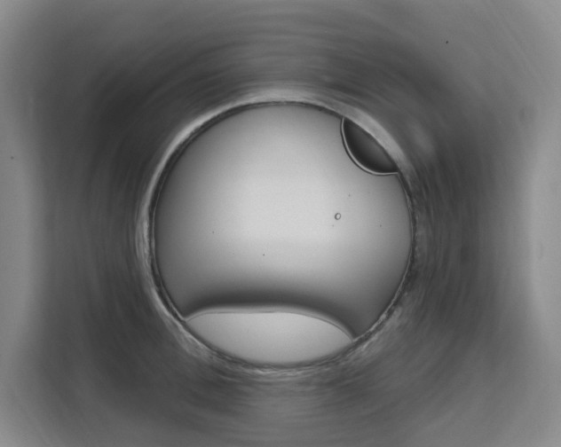 X0000111510996200907141100