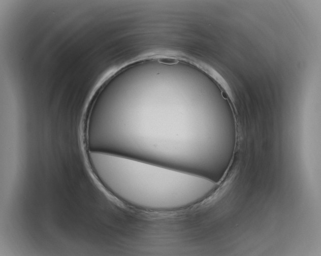 X0000111510997200907141100