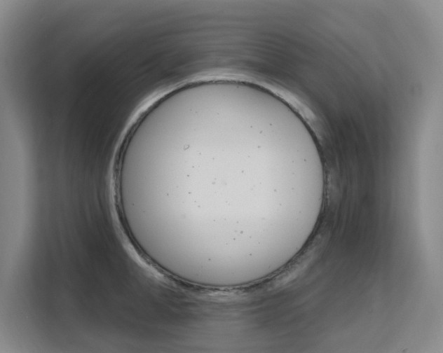 X0000111510998200907141100
