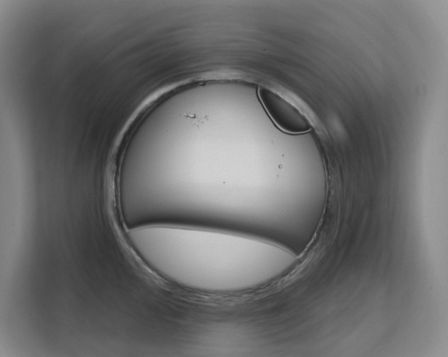 X0000111511000200907141100