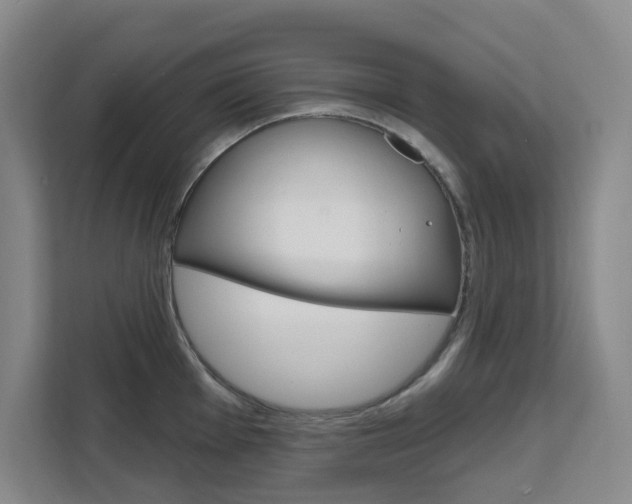 X0000111511001200907141100