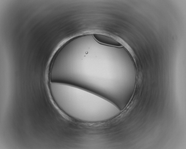 X0000111511005200907141100