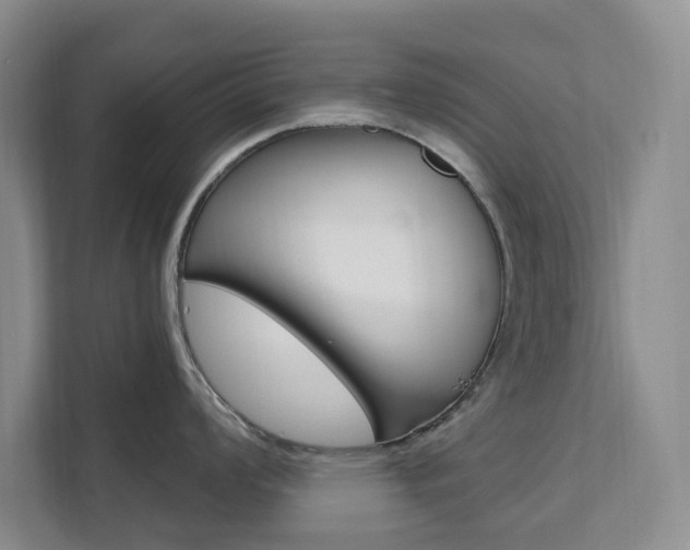 X0000111511008200907141100