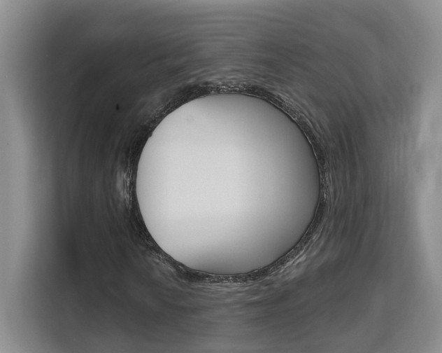 X0000111511010200907141059