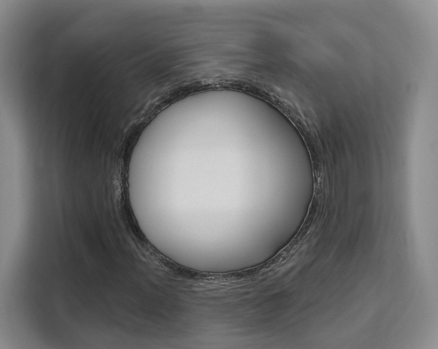X0000111511012200907141059