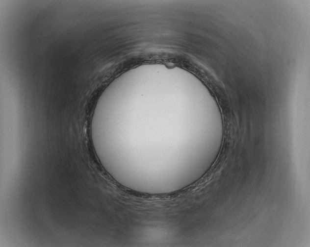X0000111511013200907141059