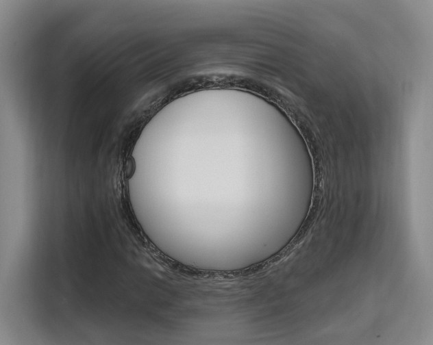 X0000111511014200907141059