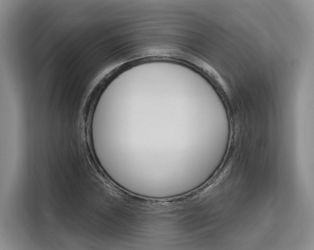 X0000111511019200907141059
