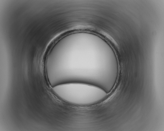 X0000111511021200907141059