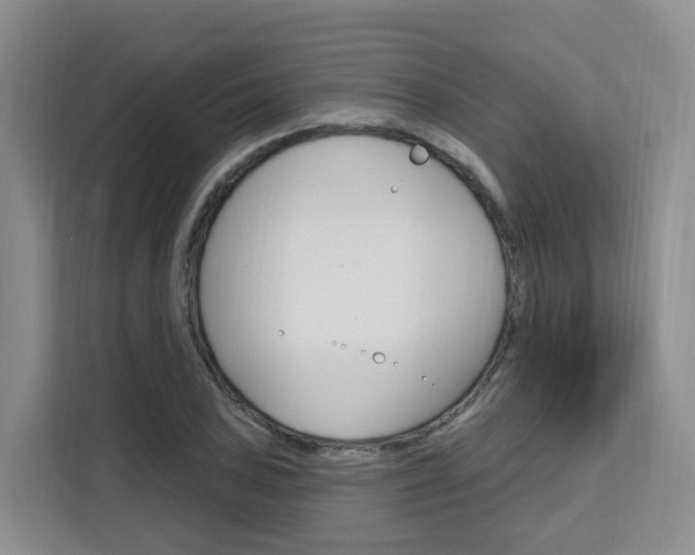 X0000111511027200907141100