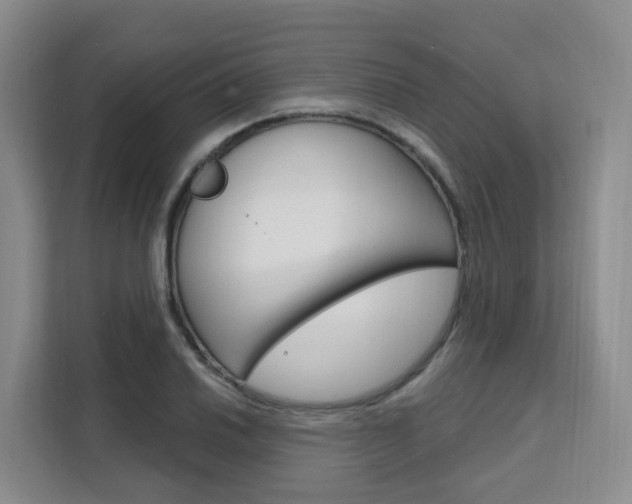 X0000111511030200907141100