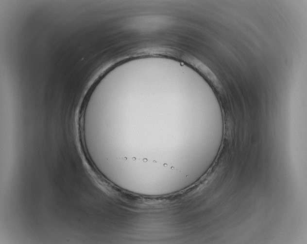 X0000111511039200907141100