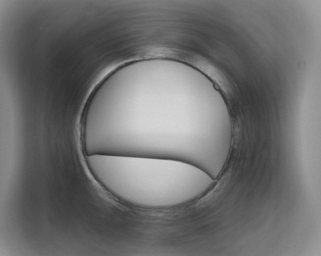 X0000111511047200907141100