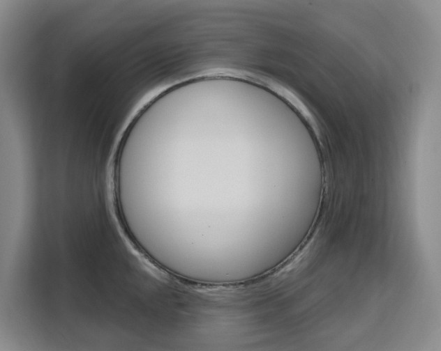 X0000111511048200907141100